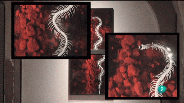 La aventura del Saber - Manuel Vilariño