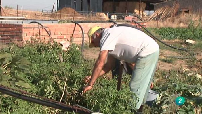 Aquí hay trabajo - Aquí hay trabajo  - 08/11/13