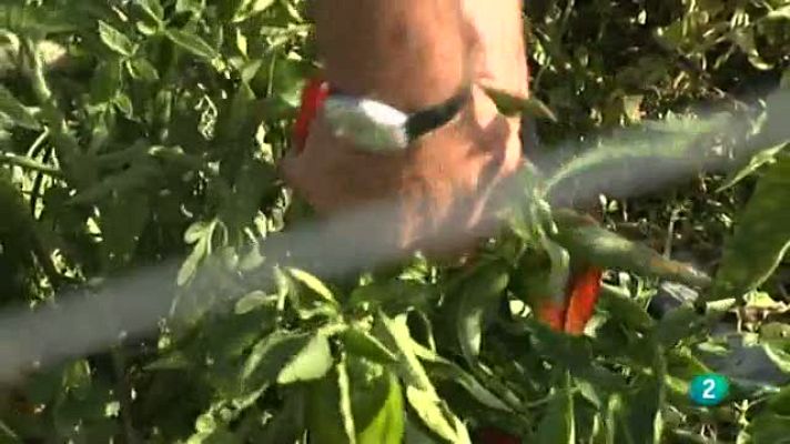 Aquí hay trabajo - Trabajo en el campo del siglo XXI