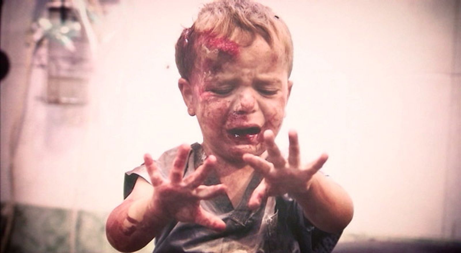 World Press Photo 2013.