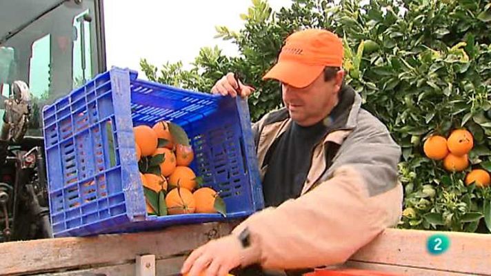 Agrosfera - Agrosfera - 09/11/13