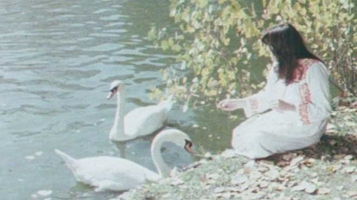 Telediario 1 - Un ramito de violetas