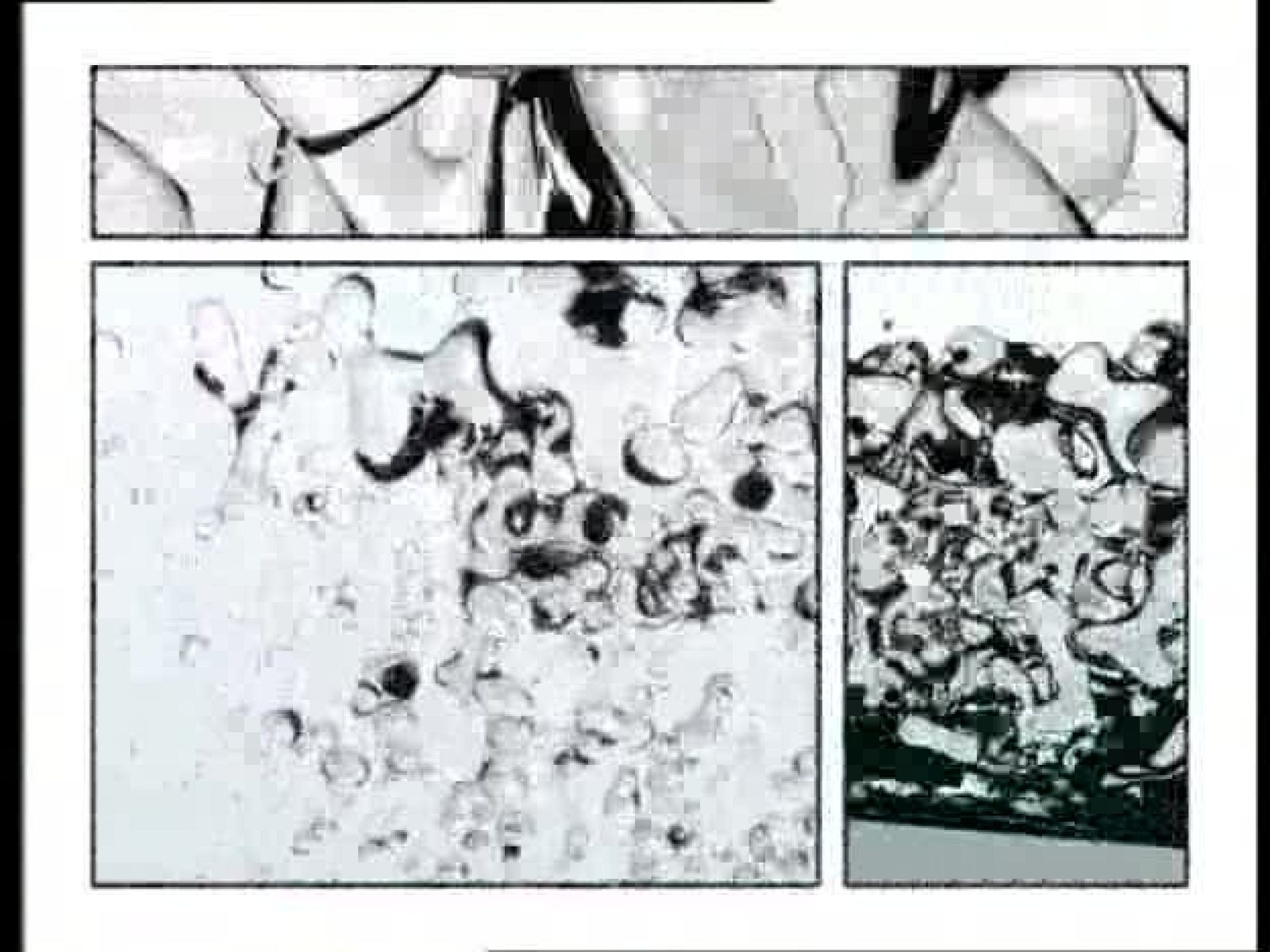 UNED - 13/07/08 - Universo UNED | Ver