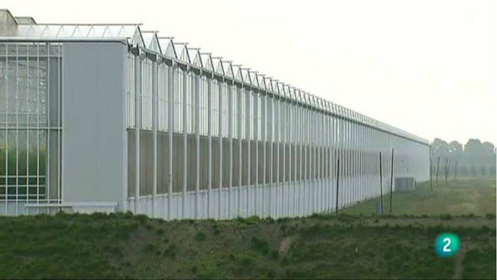 Agrosfera - Laboratorio de ideas - Invernaderos Holanda