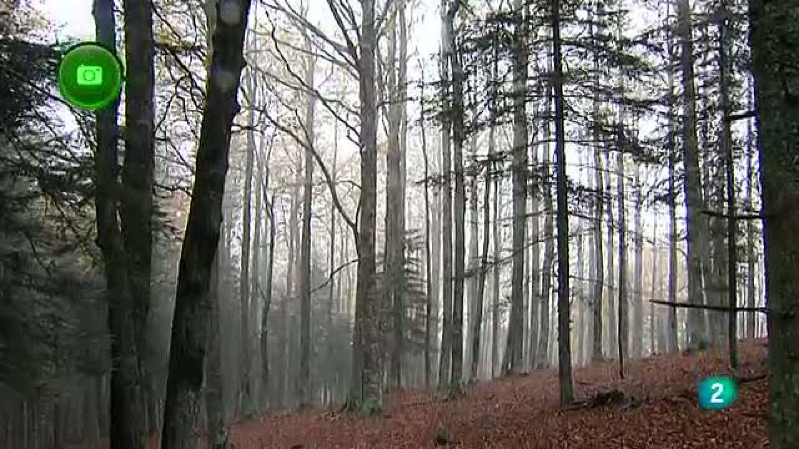 Agrosfera - En clave rural - Selva de Irati