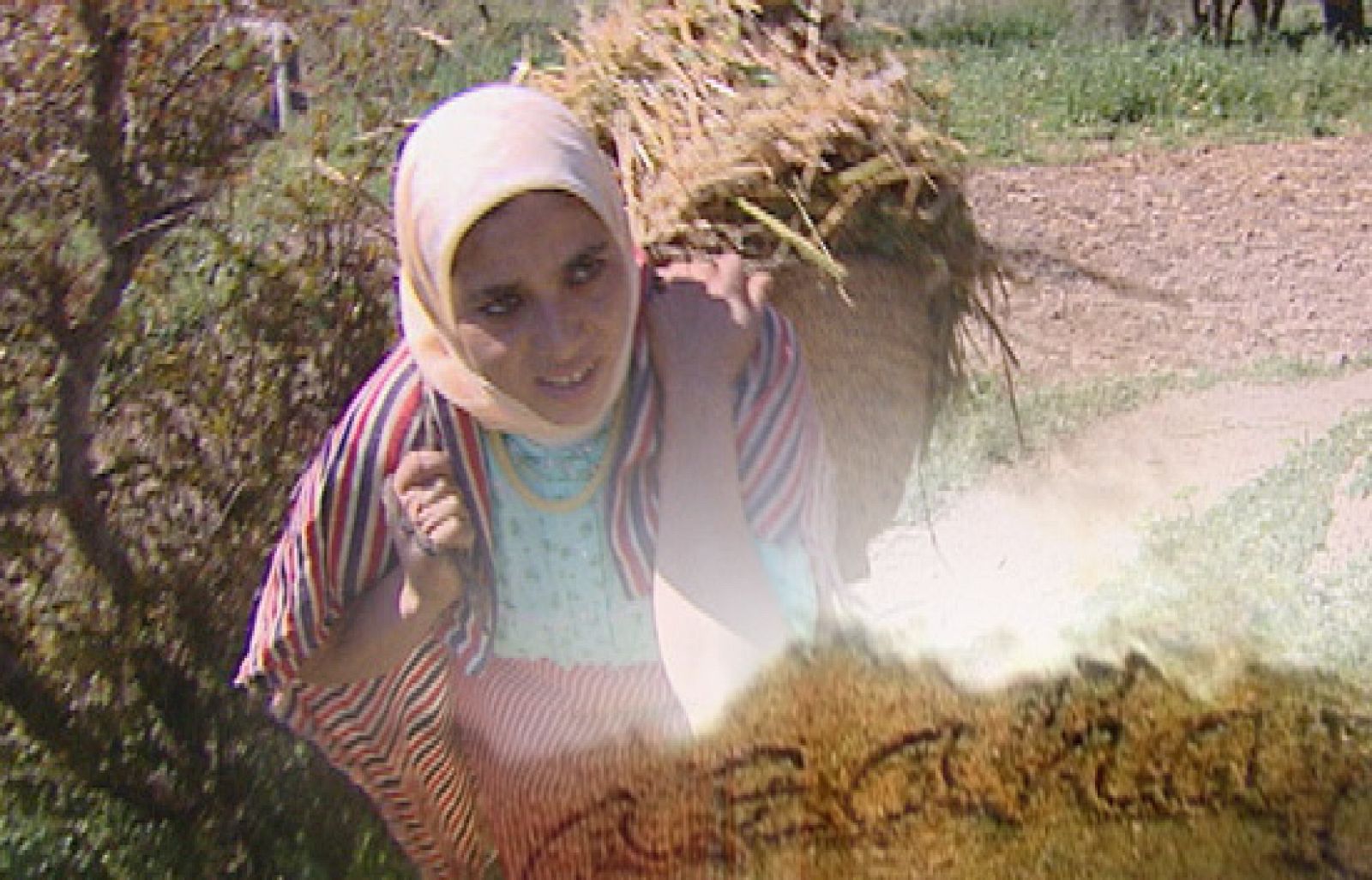 Azahar - El Rif más olvidado - Azahar | Ver