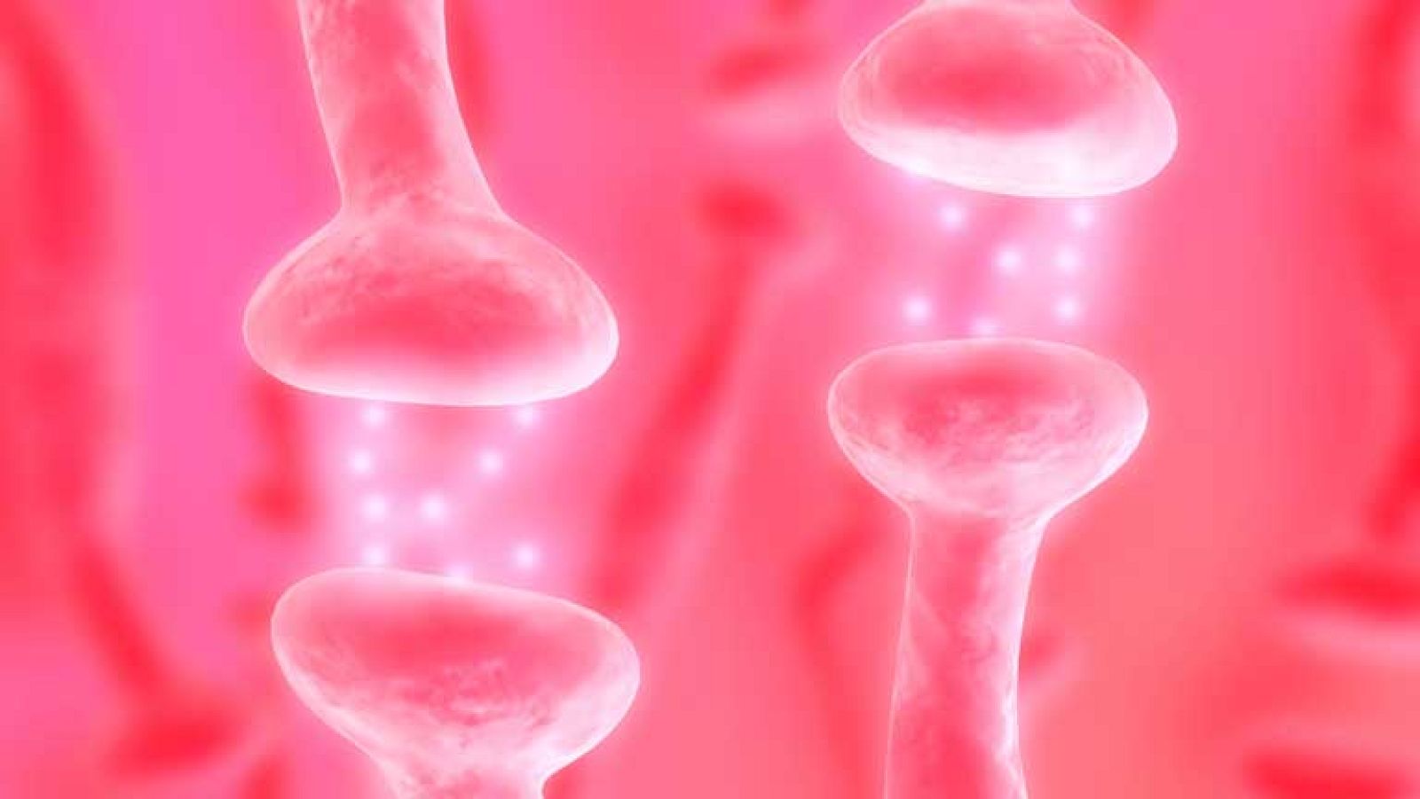 Saber vivir - 12/11/13 - Ver ahora