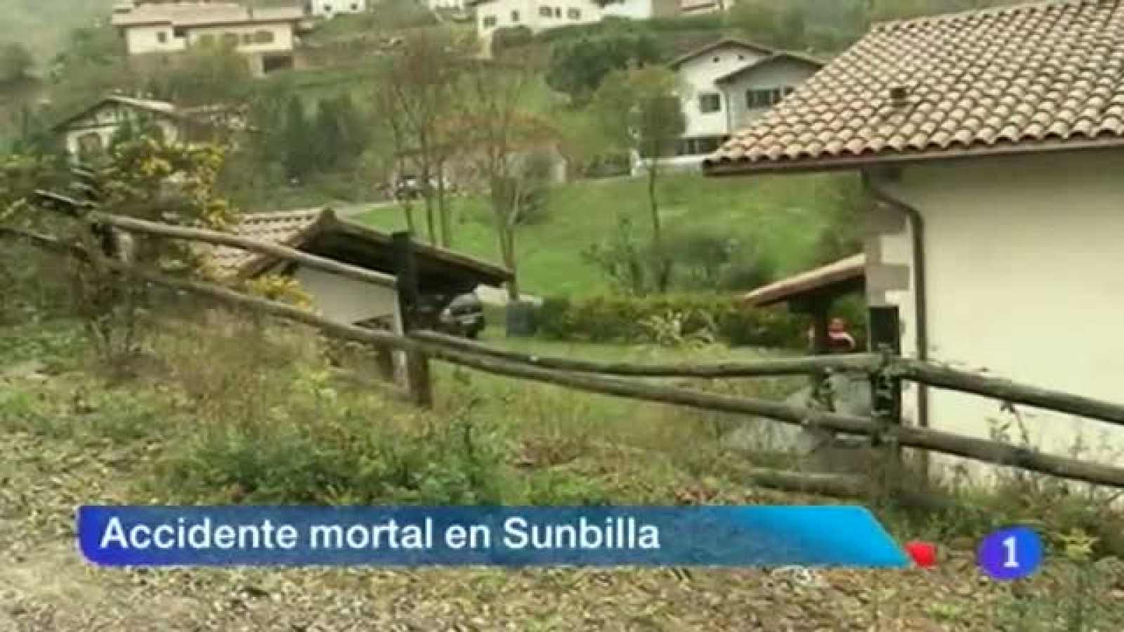 Telenavarra en 2' -12/11/2013 | Ver