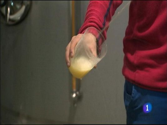 Panorama Regional - Panorama Regional 2 - 12/11/13