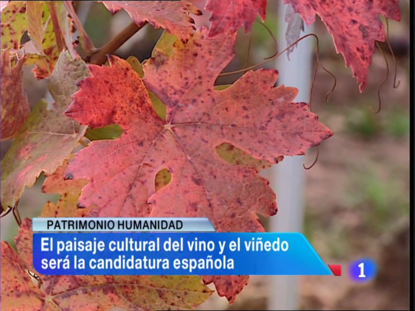 Informativo Telerioja - 12/11/13 | Ver