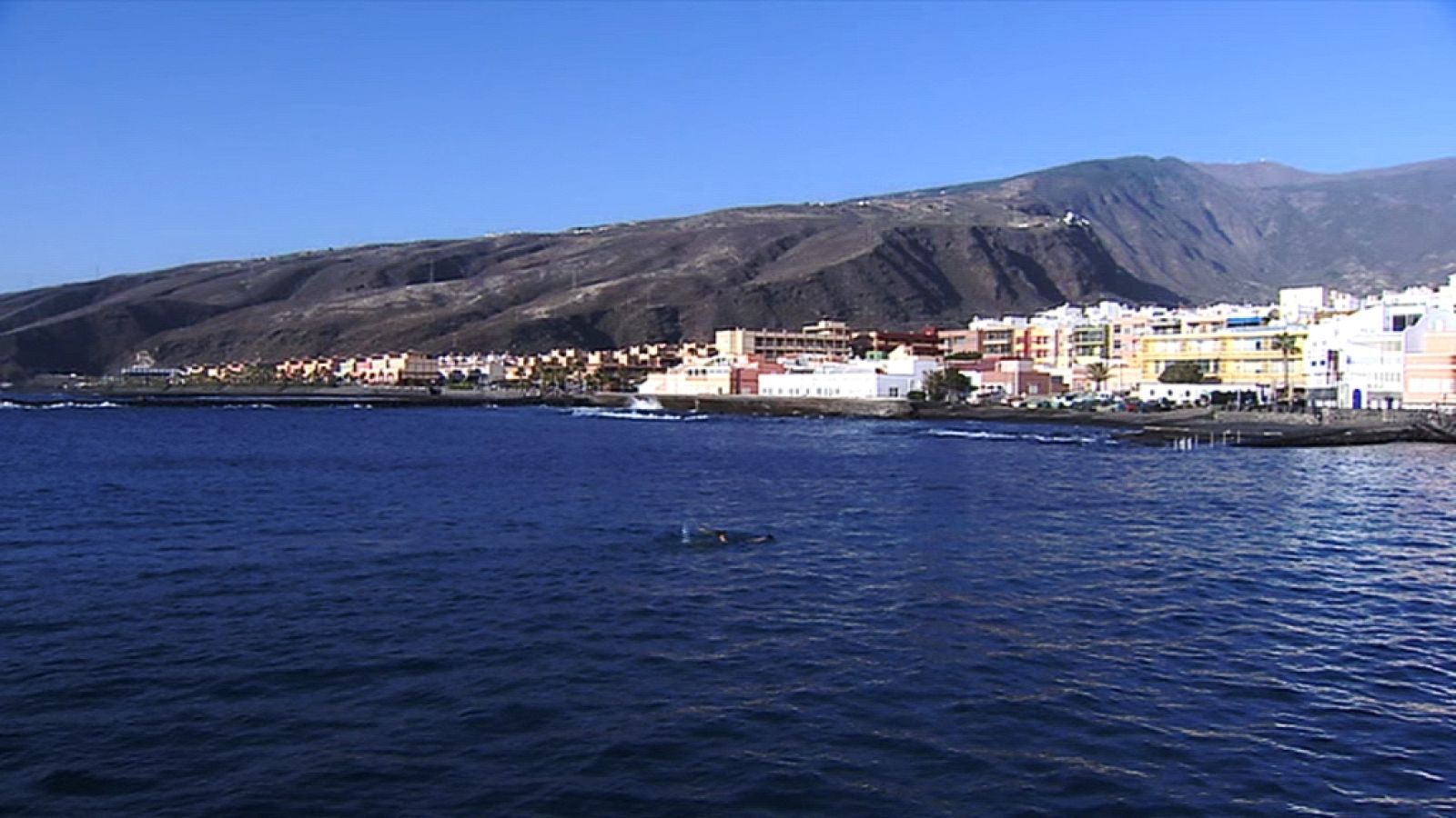 El tiempo en Canarias - 12/11/13 | Ver