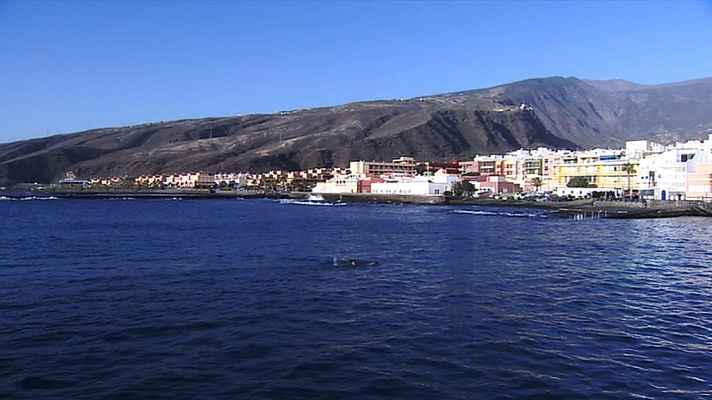 Telecanarias - El tiempo en Canarias - 12/11/13