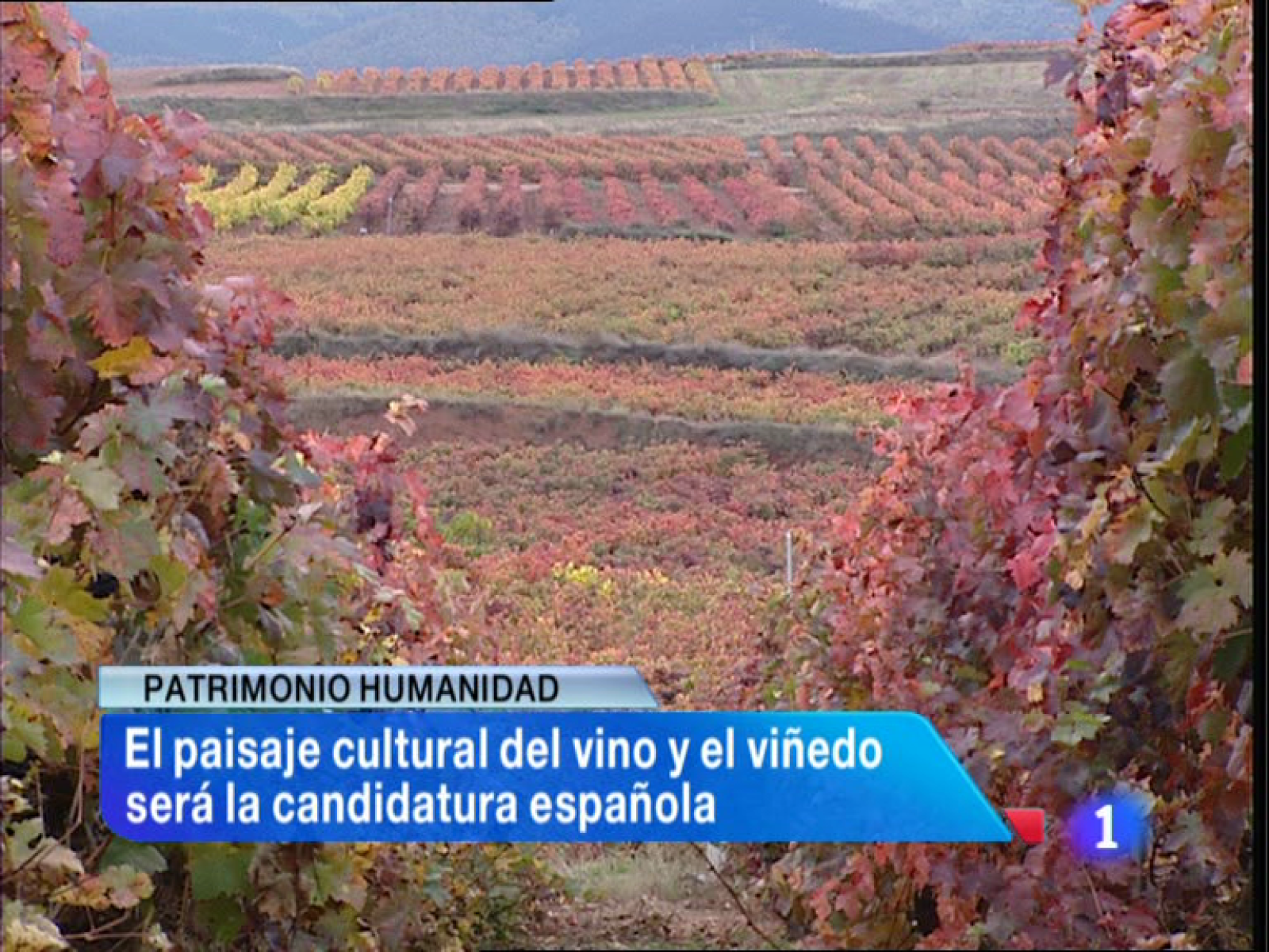 Informativo Telerioja 2 - 12/11/13 | Ver