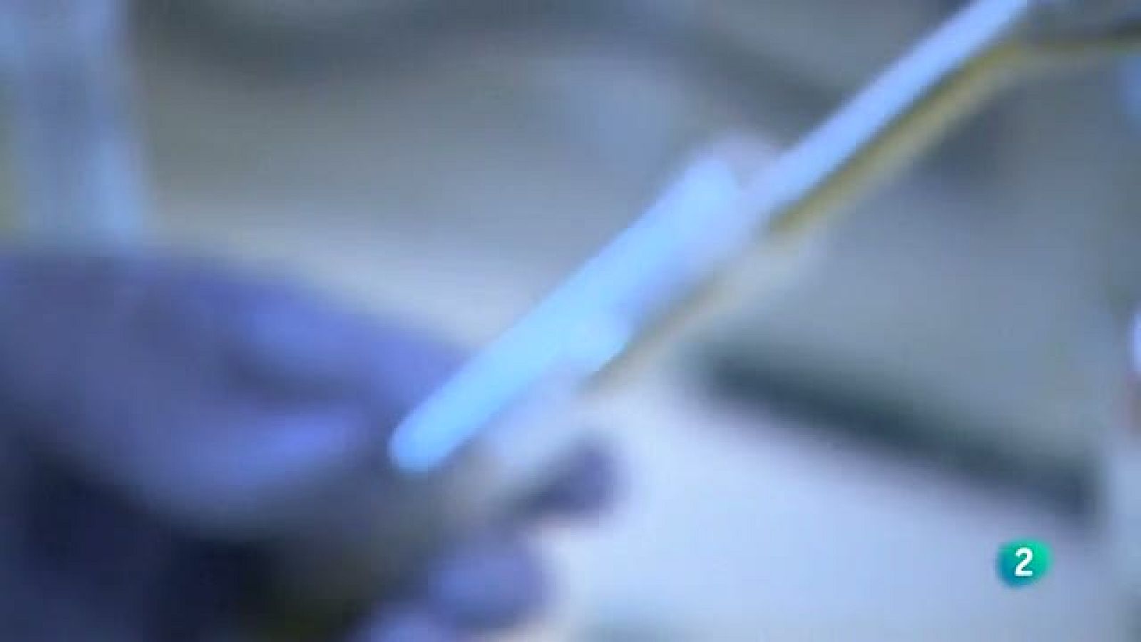 AQHT - Crowdfunding para la ciencia - Aquí hay trabajo | Ver