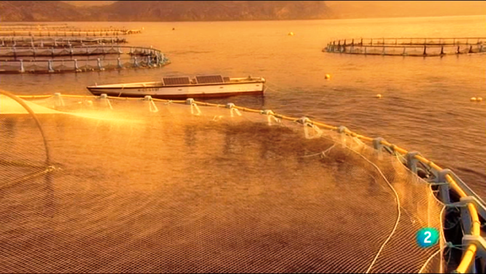 Fábrica de ideas - Innova: Proyecto Selfdott | Ver