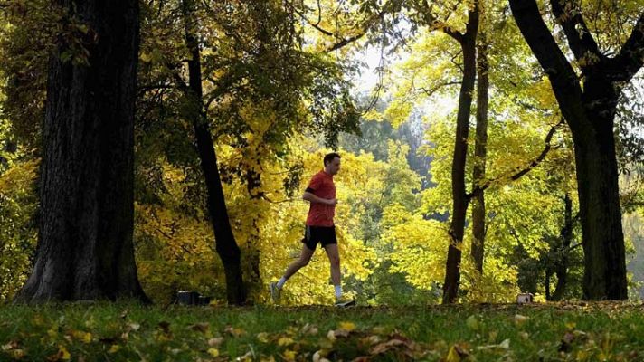 Informativo de Madrid - El tiempo en la Comunidad de Madrid - 13/11/13