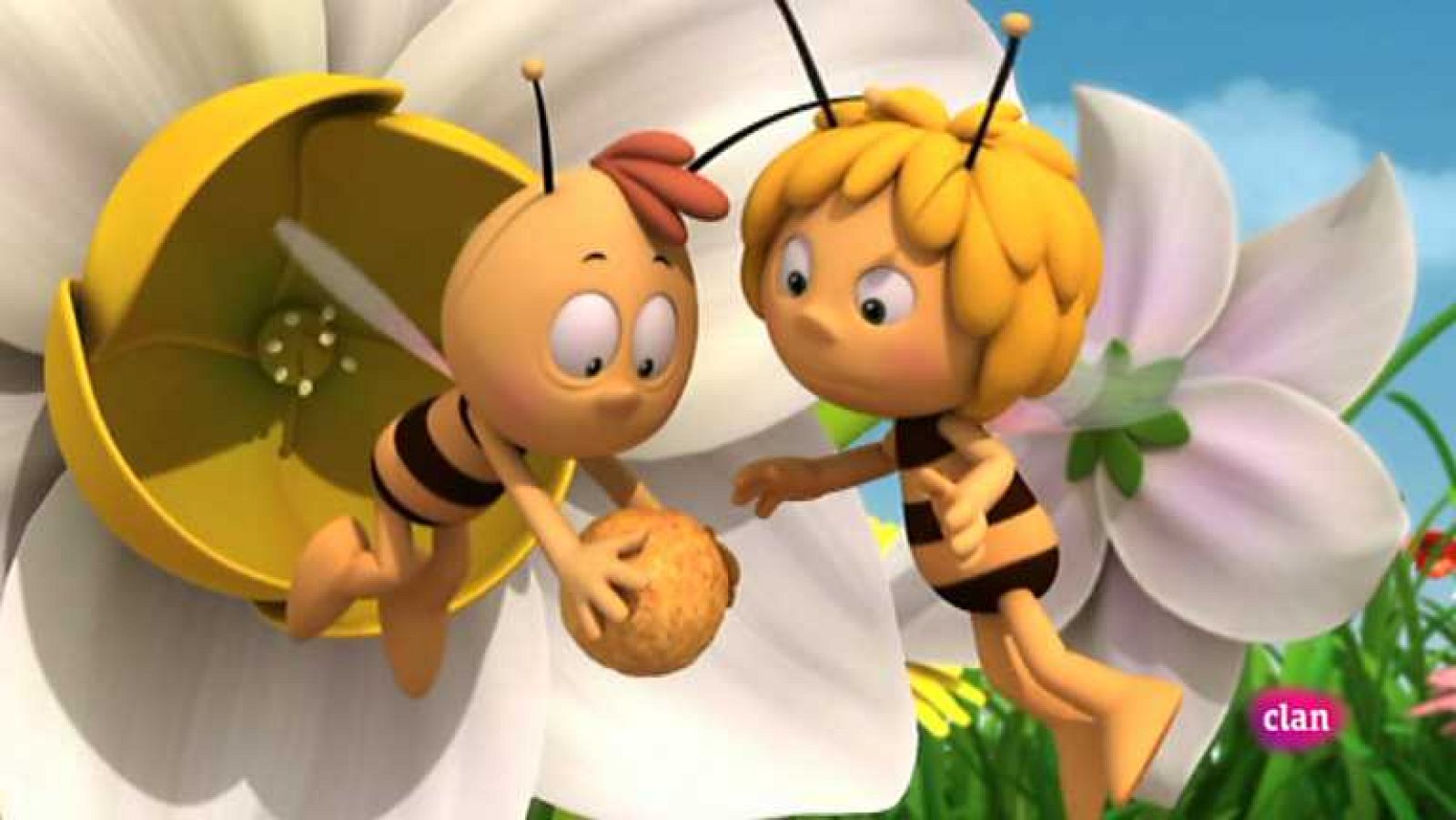 Polen muticolor - Maya | Ver