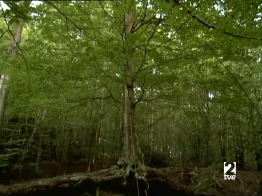 Metrópolis - Dibujamos 2. España