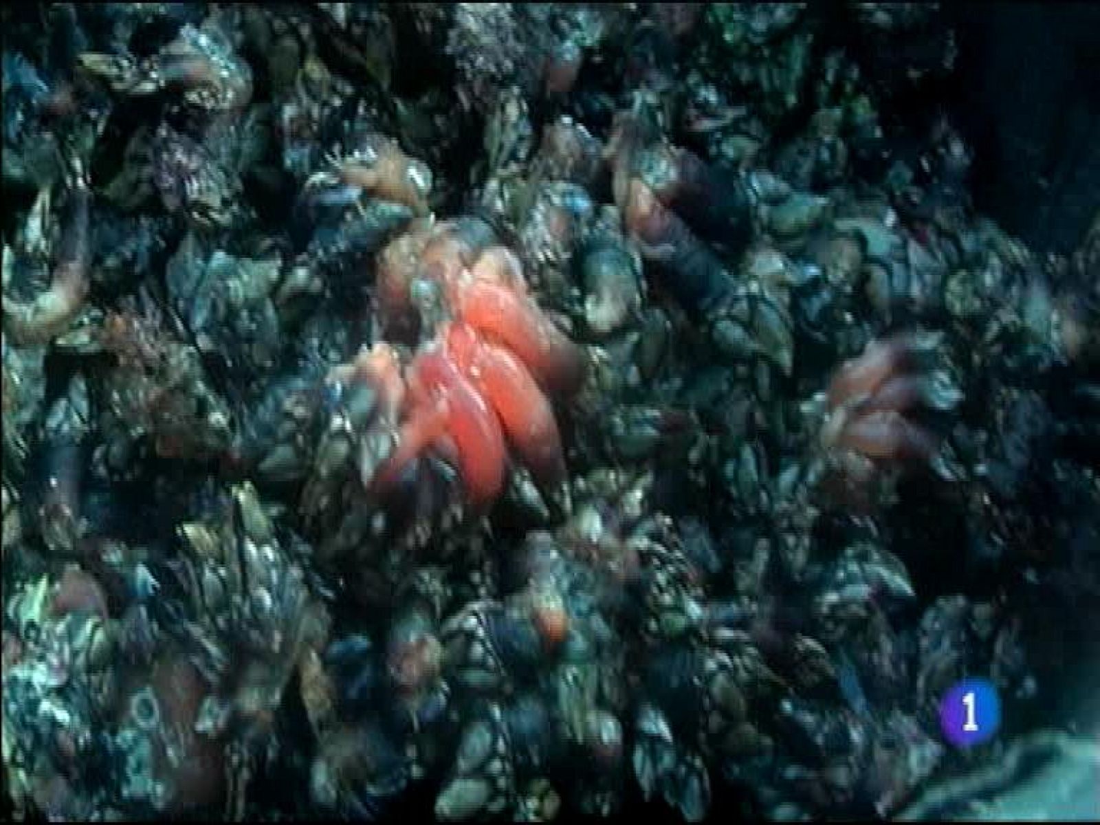 Asturias en 2' - 14/11/13 | Ver