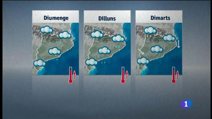 L'Informatiu - El Temps - 15/11/2013
