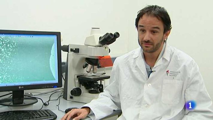 L'informatiu - Comunitat Valenciana - L'Informatiu - Comunitat Valenciana - 15/11/13