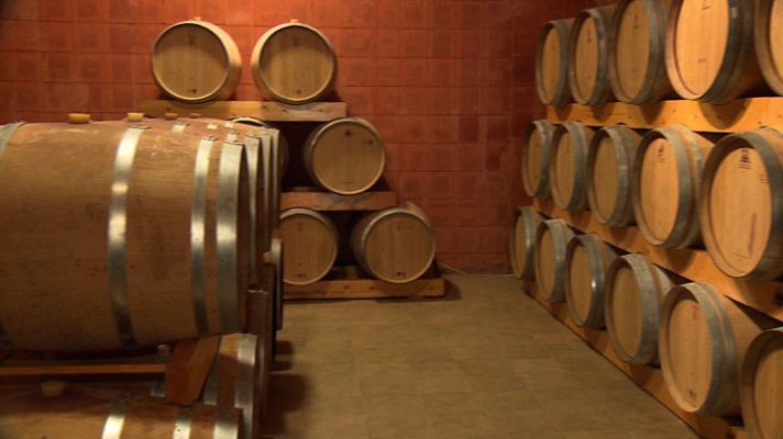 Entre vinyes - Denominació d'Origen Priorat