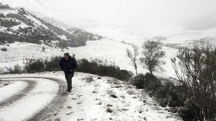 La tarde en 24h - Bloque 18 horas - 15/11/13