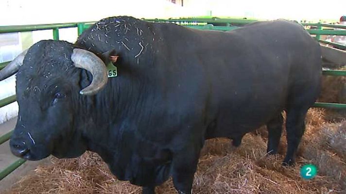 Agrosfera - Agrosfera - 16/11/13