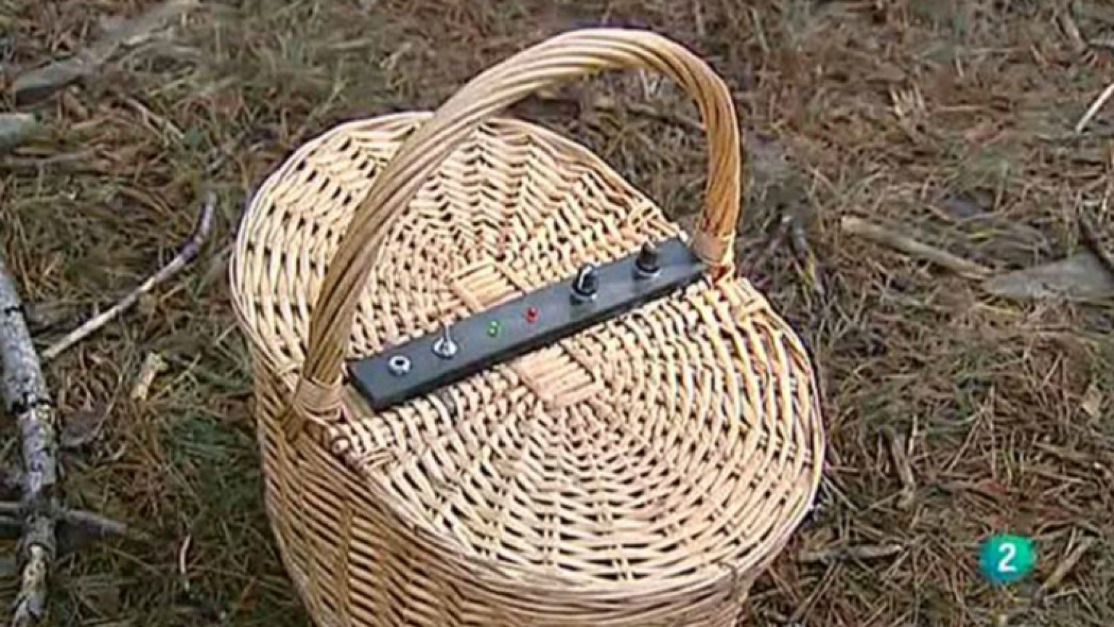 Agrosfera - Laboratorio de ideas - Cesta eco-micológica