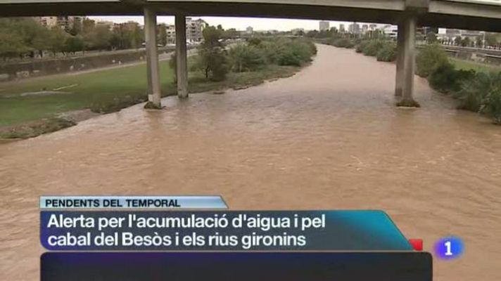 L'Informatiu - L'Informatiu 2 - 18/11/2013