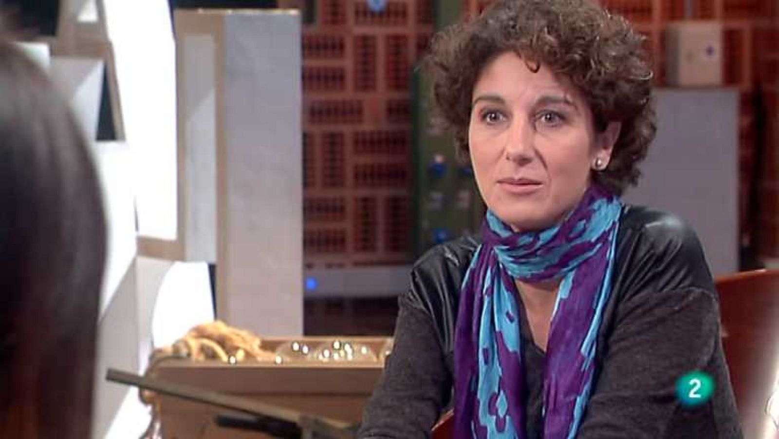 La aventura del saber - 19/11/13 - ver ahora