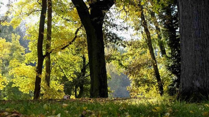 Informativo de Madrid - El tiempo en la Comunidad de Madrid - 19/11/13