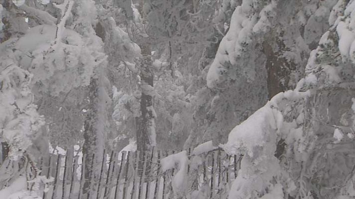 Informativo de Madrid - Informativo de Madrid 2 - 19/11/13