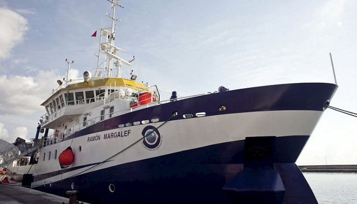 La tarde en 24h - Bloque 19 horas - 19/11/13