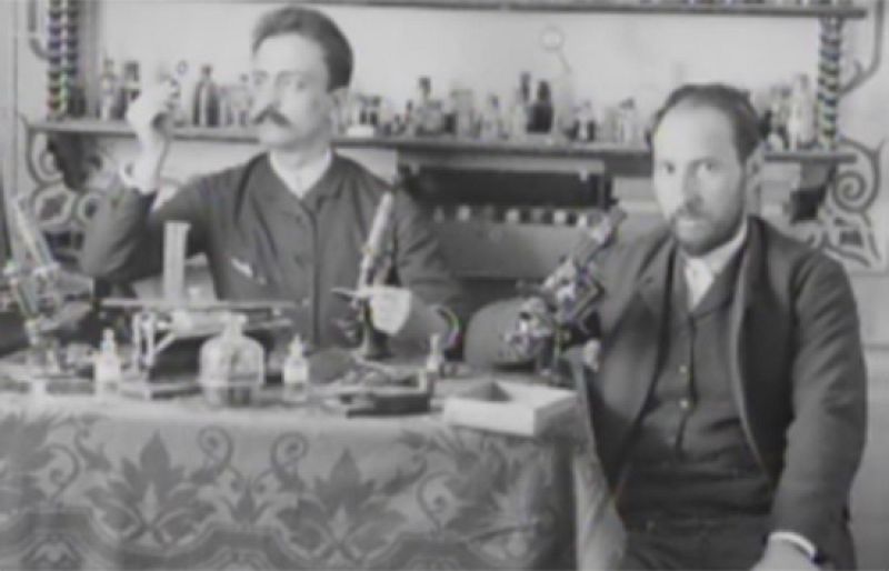 "Las mariposas del alma" | Ver