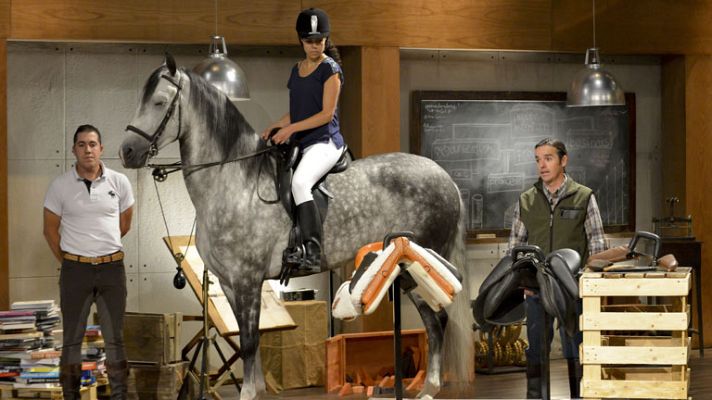 Tu oportunidad - Tu Oportunidad - Sappam