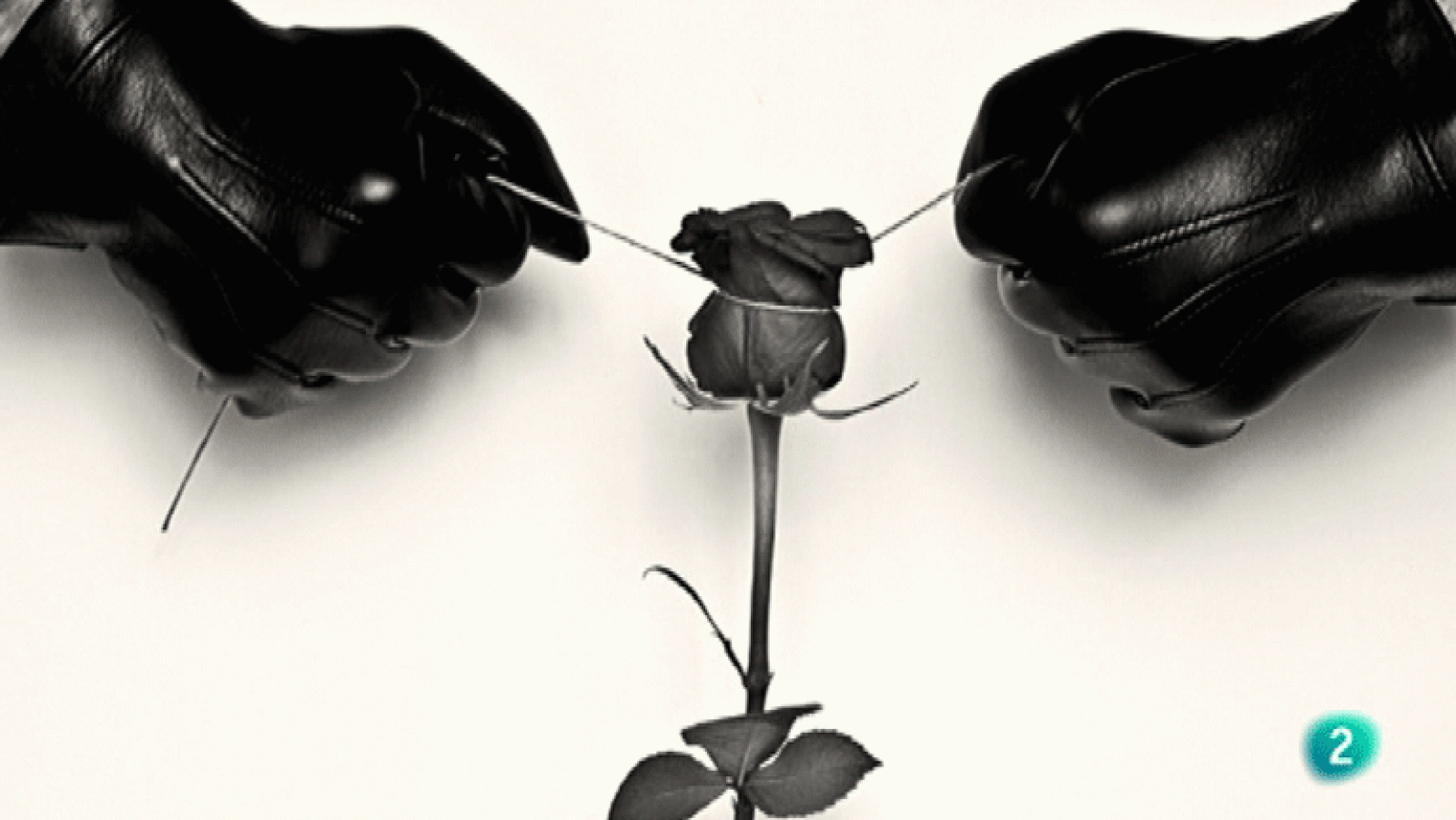 La Aventura del Saber. Boek Visual. Proyecto Claror.