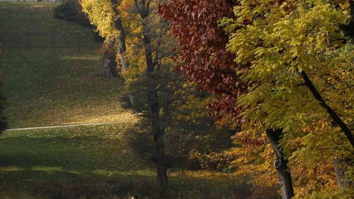 Informativo de Madrid - El tiempo en la Comunidad de Madrid - 22/11/13