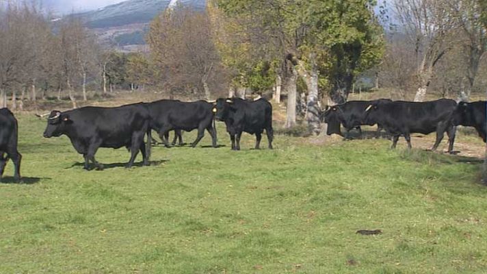 Informativo de Madrid - Informativo de Madrid 2 - 22/11/13