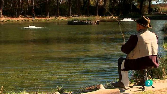 Agrosfera - Agrosfera - 23/11/13