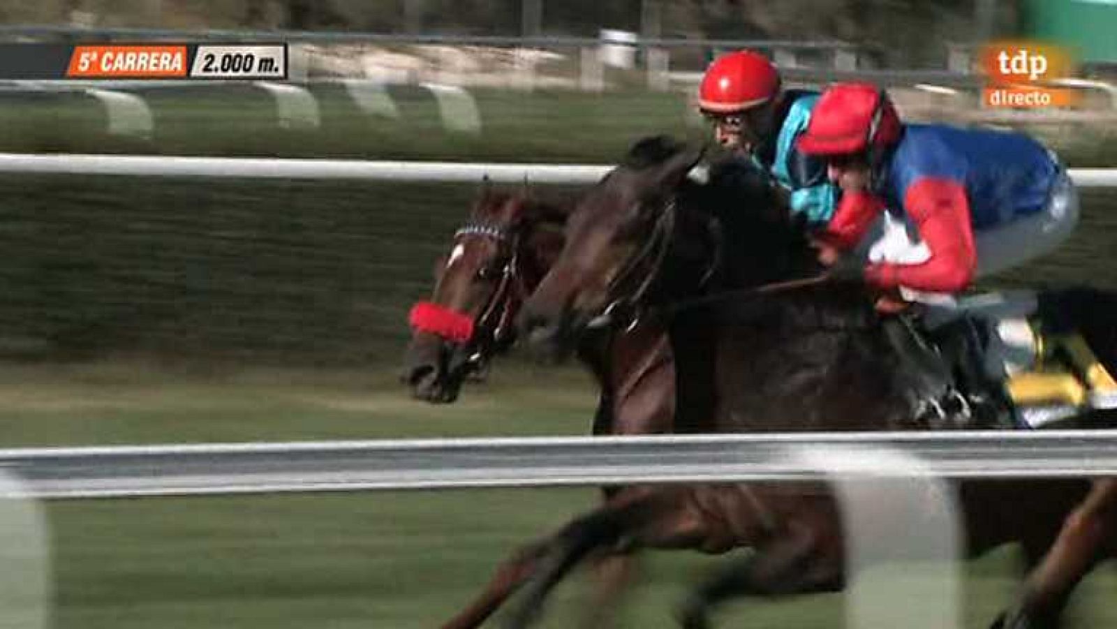 Turf - 24/11/13 - Ver ahora