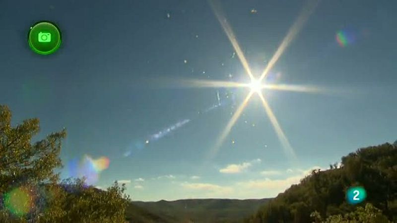 Agrosfera - En clave rural - Brihuega