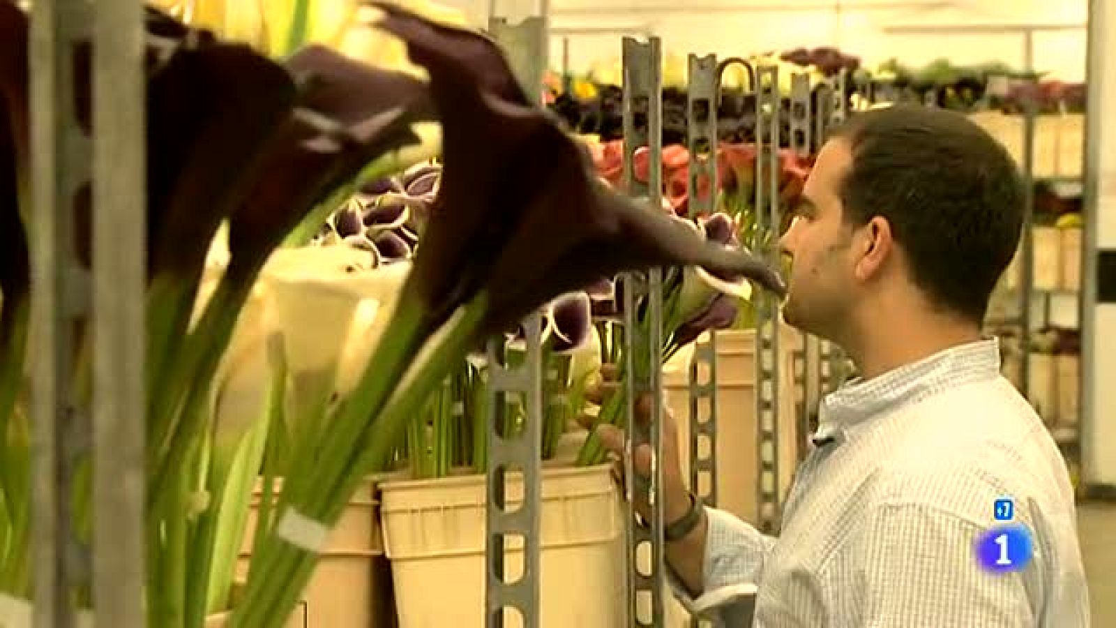 Españoles en el mundo - Vancouver - Arturo | Ver