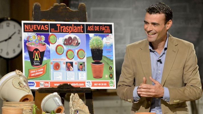 Tu oportunidad - Tu Oportunidad - Macetas Abril