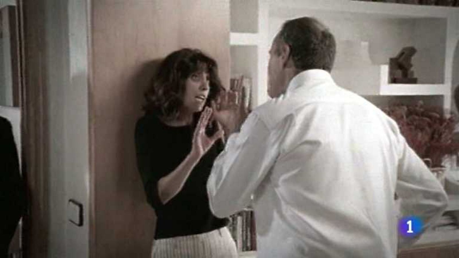 L'Informatiu - Comunitat Valenciana - 28/11/13 - Ver ahora