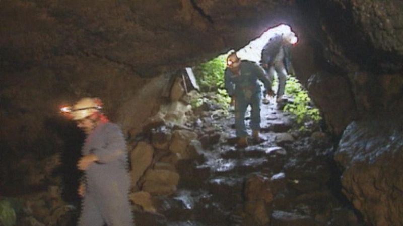 Teleplaneta - 30/11/13 - Teleplaneta | Ver