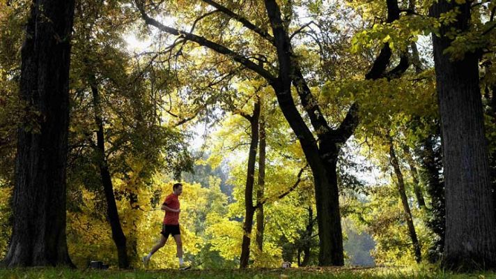 Informativo de Madrid - El tiempo en la Comunidad de Madrid - 02/12/13