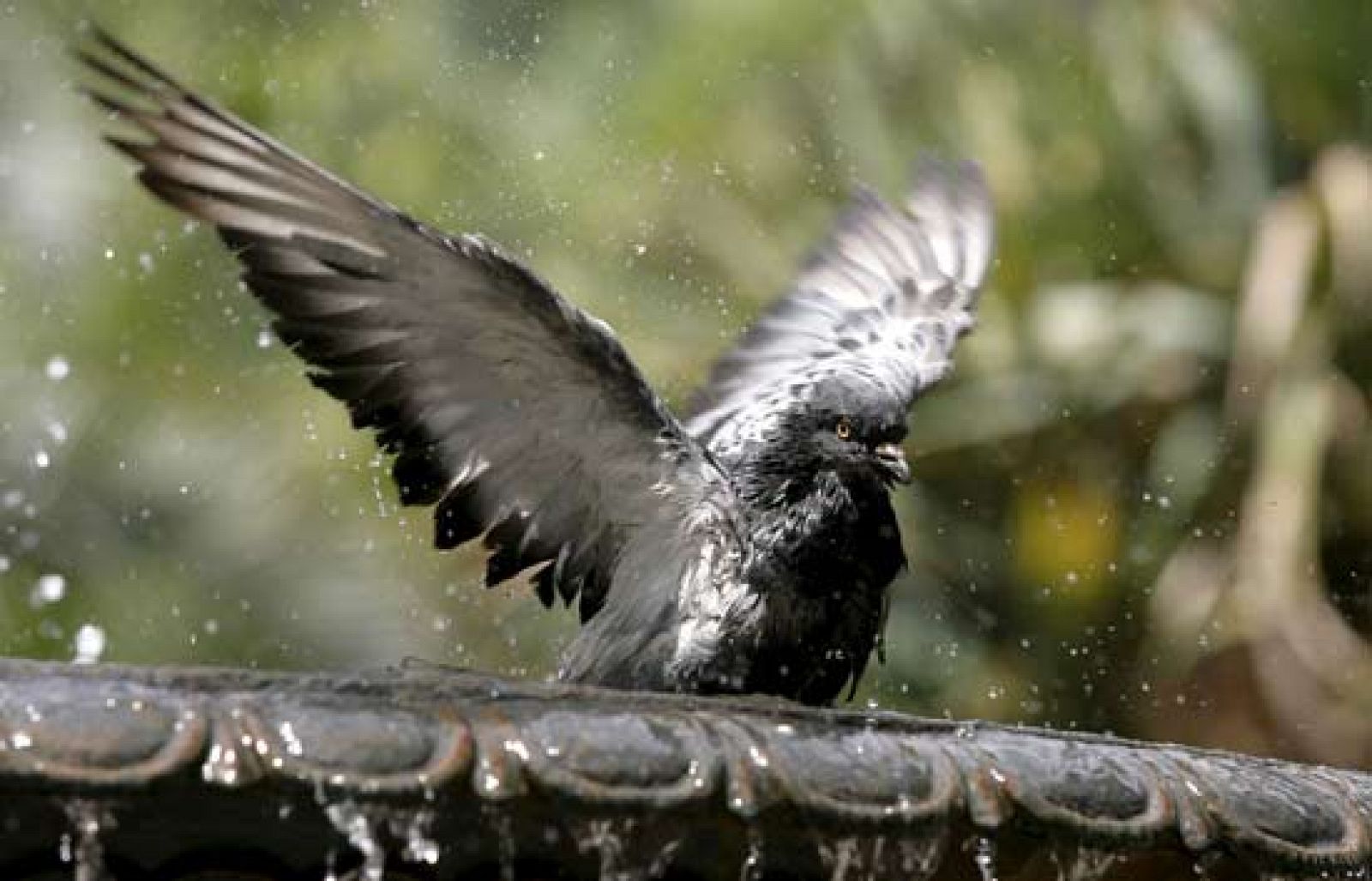Primera ola de calor en la península