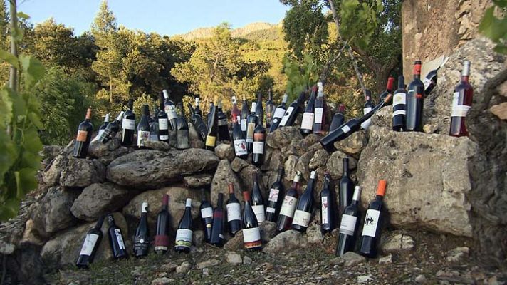 Entre vinyes - D.O.  Montsant