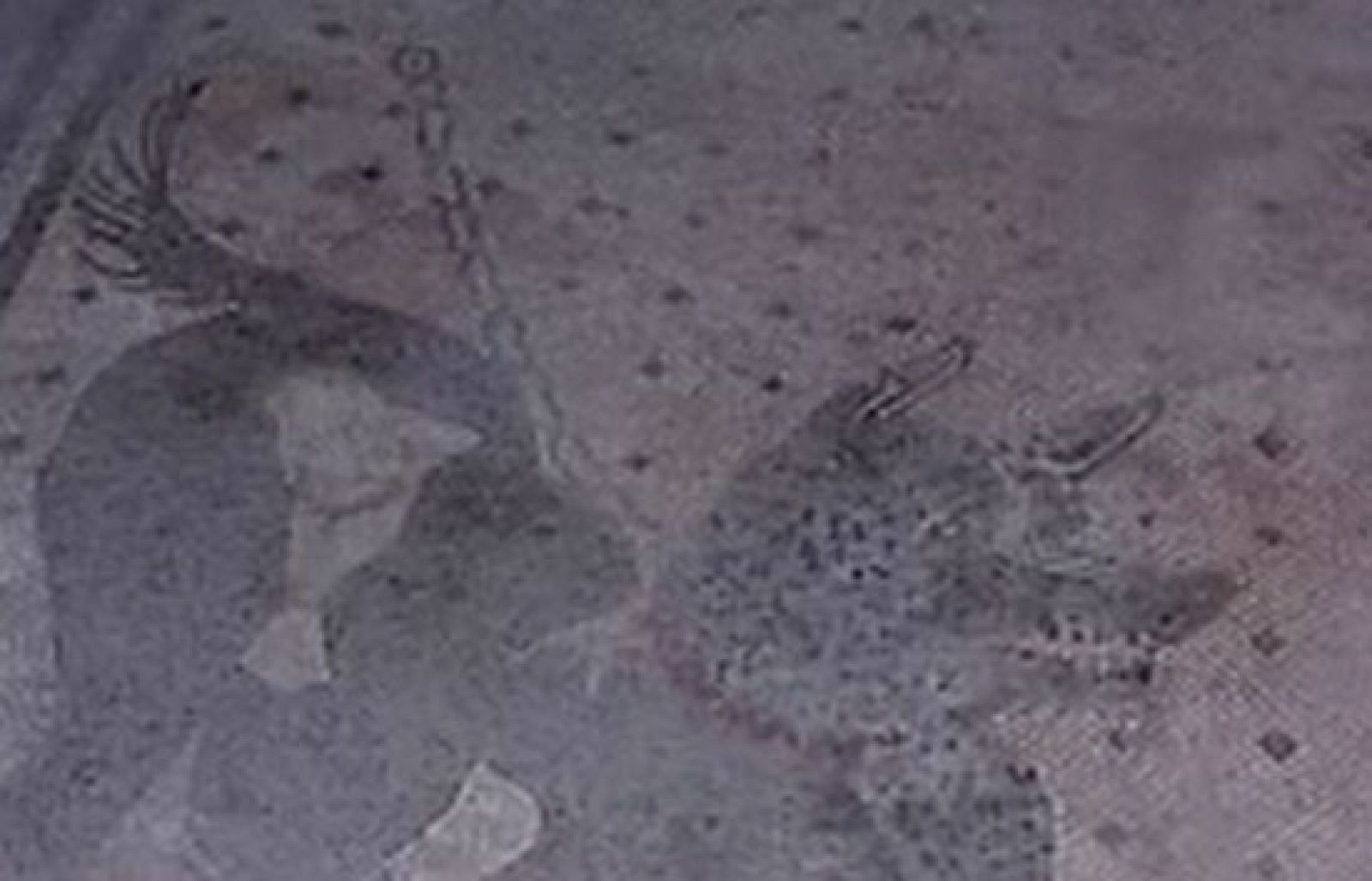 Plan de rescate para Pompeya | Ver